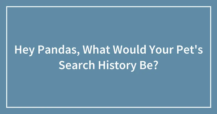 Hey Pandas, What Would Your Pet's Search History Be? (Closed)
