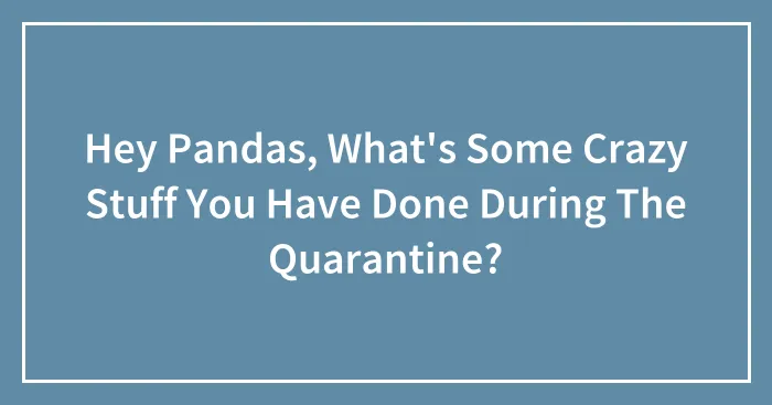 Hey Pandas, What's Some Crazy Stuff You Have Done During The Quarantine? (Closed)