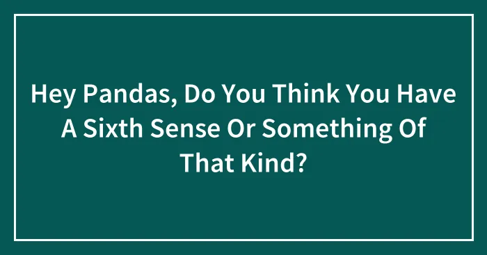 Hey Pandas, Do You Think You Have A Sixth Sense Or Something Of That Kind? (Closed)
