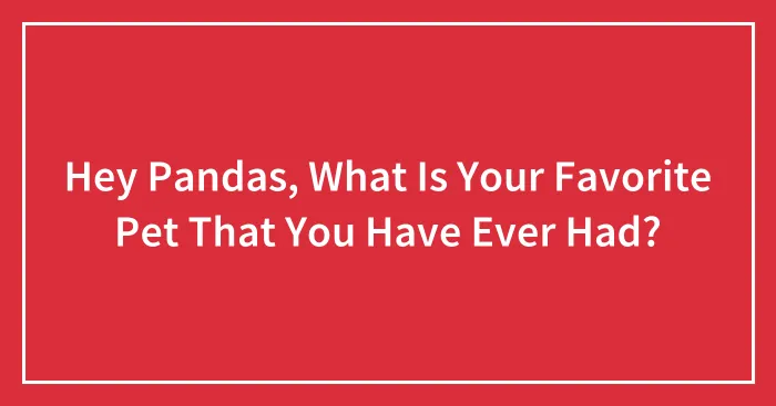 Hey Pandas, What Is Your Favorite Pet That You Have Ever Had? (Closed)