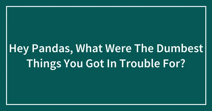 Hey Pandas, What Were The Dumbest Things You Got In Trouble For? (Closed)