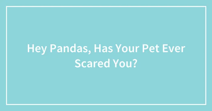 Hey Pandas, Has Your Pet Ever Scared You? (Closed)