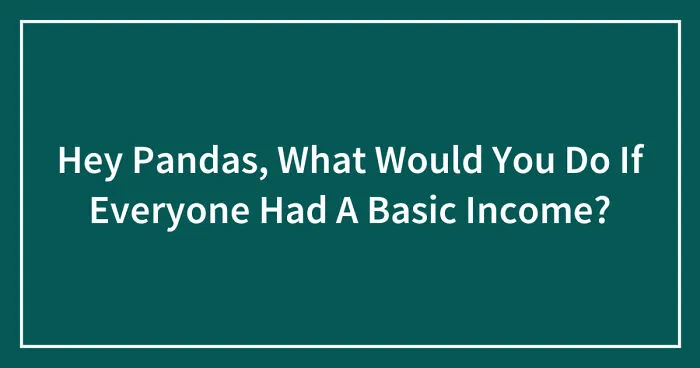 Hey Pandas, What Would You Do If Everyone Had A Basic Income? (Closed)
