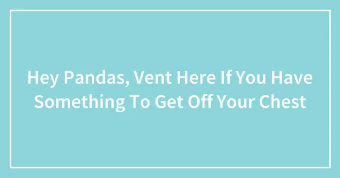 Hey Pandas, Vent Here If You Have Something To Get Off Your Chest (Closed)
