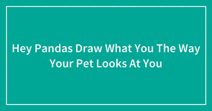 Hey Pandas Draw What You The Way Your Pet Looks At You