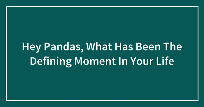 Hey Pandas, What Has Been The Defining Moment In Your Life