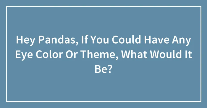 Hey Pandas, If You Could Have Any Eye Color Or Theme, What Would It Be?