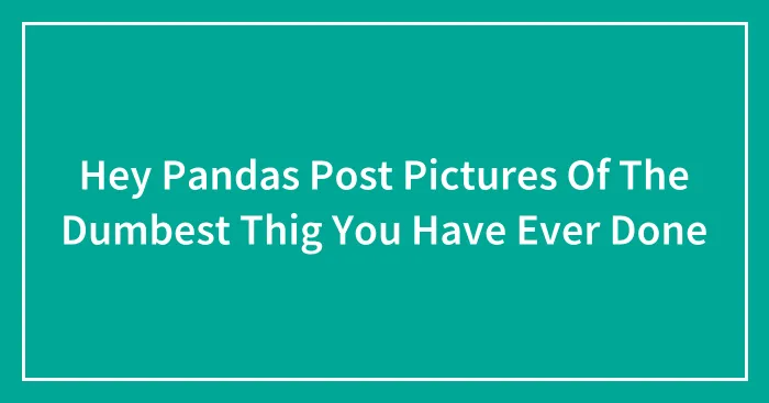 Hey Pandas Post Pictures Of The Dumbest Thig You Have Ever Done