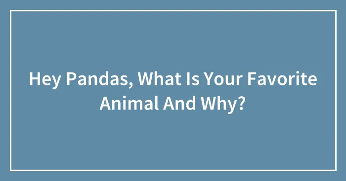 Hey Pandas, What Is Your Favorite Animal And Why?