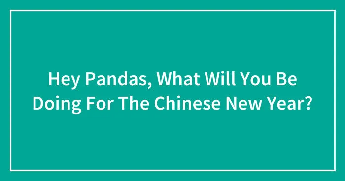 Hey Pandas, What Will You Be Doing For The Chinese New Year? (Closed)