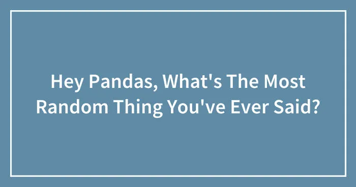 Hey Pandas, What's The Most Random Thing You've Ever Said? (Closed)