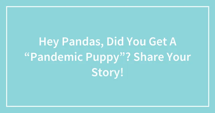 Hey Pandas, Did You Get A “Pandemic Puppy”? Share Your Story (Closed)