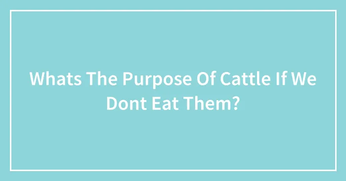 Whats The Purpose Of Cattle If We Dont Eat Them?