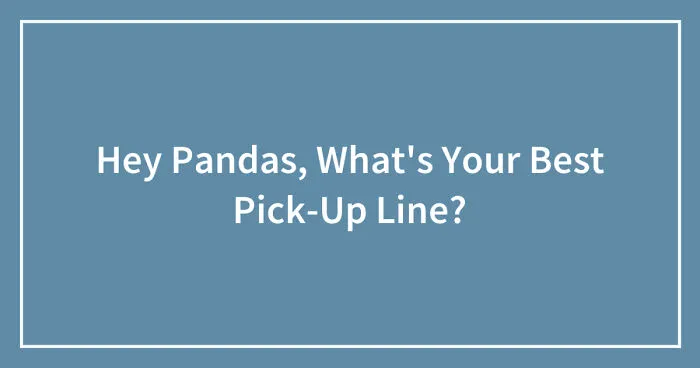 Hey Pandas, What's Your Best Pick-Up Line? (Closed)
