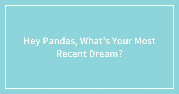 Hey Pandas, What's Your Most Recent Dream? (Closed)