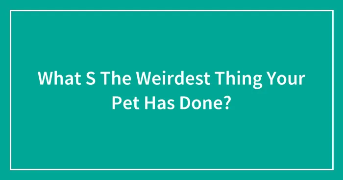 What S The Weirdest Thing Your Pet Has Done?