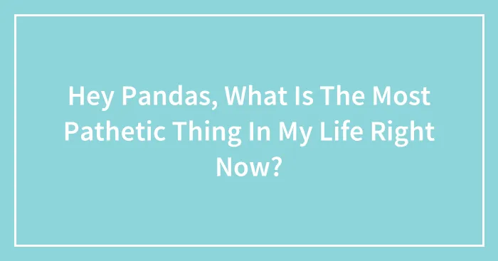 Hey Pandas, What Is The Most Pathetic Thing In My Life Right Now?