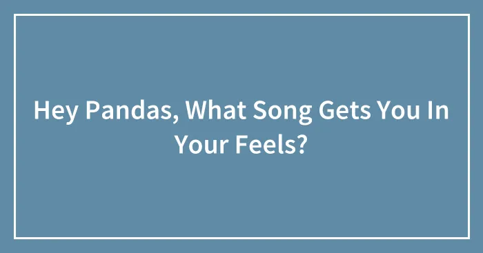 Hey Pandas, What Song Gets You In Your Feels?
