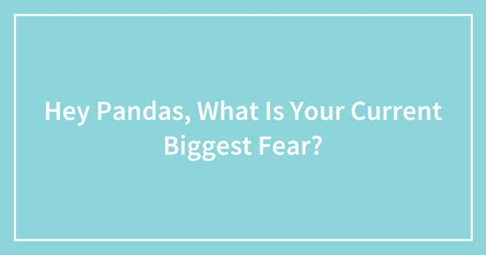 Hey Pandas, What Is Your Current Biggest Fear?
