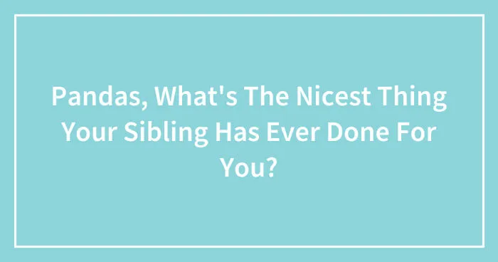 Hey Pandas, What's The Nicest Thing Your Sibling Has Ever Done For You?