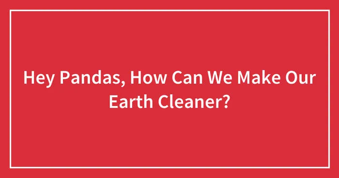 Hey Pandas, How Can We Make Our Earth Cleaner?