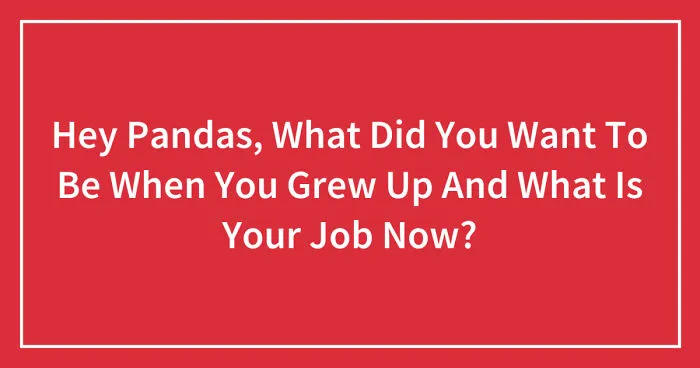Hey Pandas, What Did You Want To Be When You Grew Up And What Is Your Job Now?