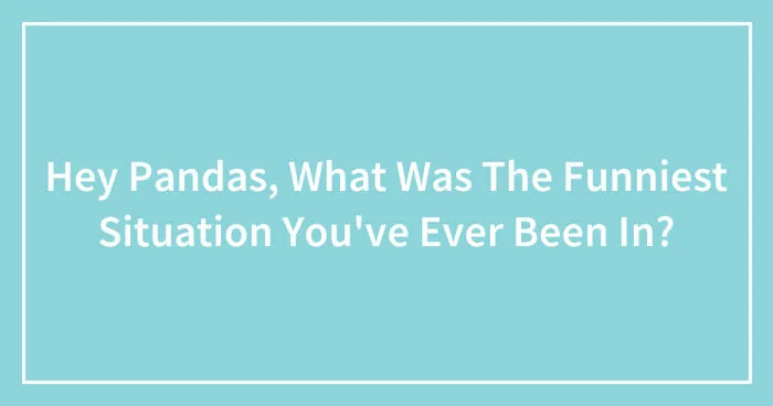 Hey Pandas, What Was The Funniest Situation You've Ever Been In?