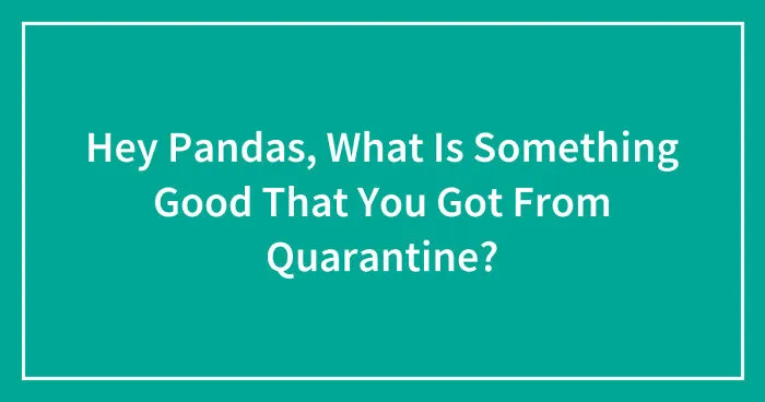 Hey Pandas, What Is Something Good That You Got From Quarantine? (Closed)