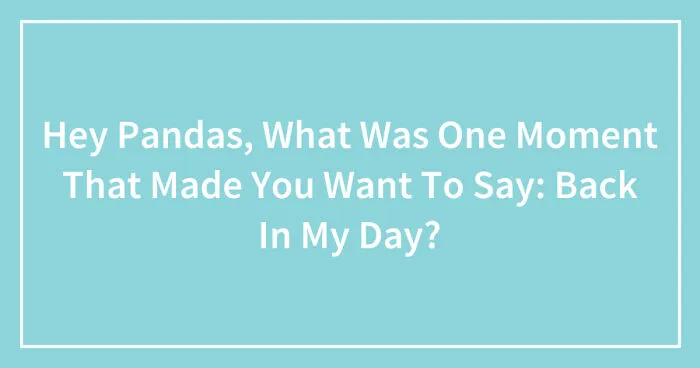 Hey Pandas, What Was One Moment That Made You Want To Say: Back In My Day? (Closed)