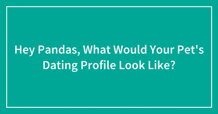 Hey Pandas, What Would Your Pet's Dating Profile Look Like? (Closed)