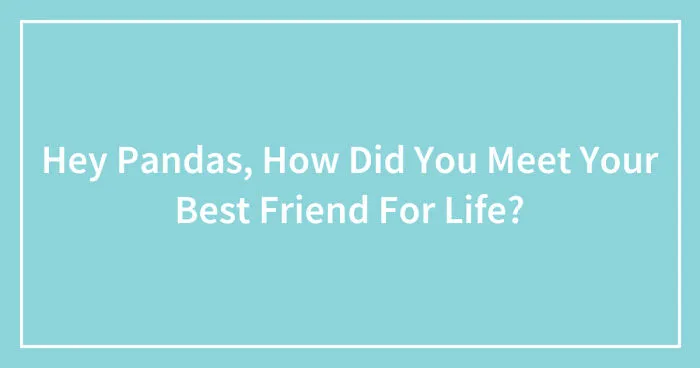 Hey Pandas, How Did You Meet Your Best Friend For Life? (Closed)