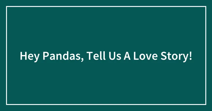 Hey Pandas, Tell Us A Love Story! (Closed)