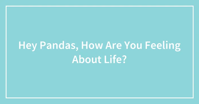 Hey Pandas, How Are You Feeling About Life? (Closed)