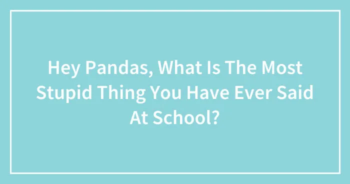Hey Pandas, What Is The Most Stupid Thing You Have Ever Said At School? (Closed)