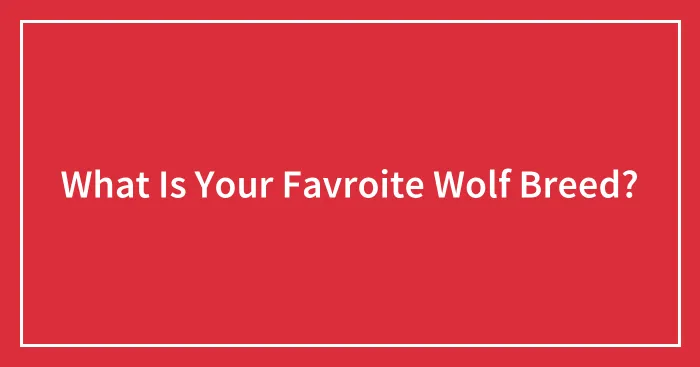 What Is Your Favroite Wolf Breed?