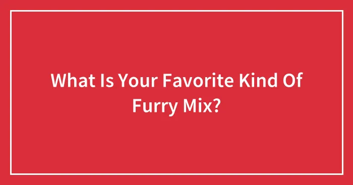 What Is Your Favorite Kind Of Furry Mix?