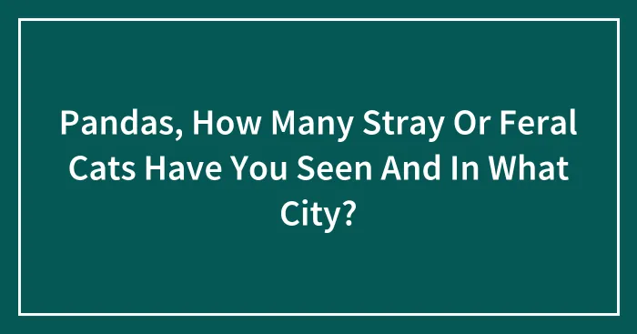 Pandas, How Many Stray Or Feral Cats Have You Seen And In What City? (Closed)