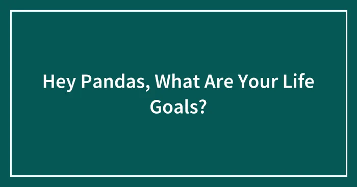 Hey Pandas, What Are Your Life Goals? (Closed)