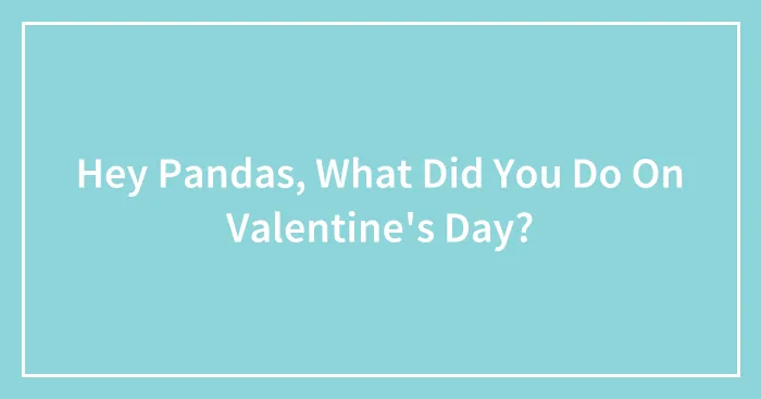 Hey Pandas, What Did You Do On Valentine's Day? (Closed)