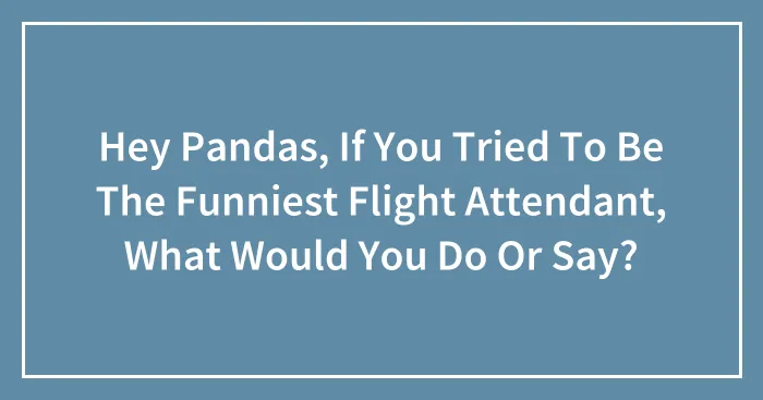 Hey Pandas, If You Tried To Be The Funniest Flight Attendant, What Would You Do Or Say? (Closed)