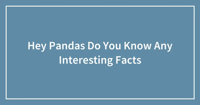 Hey Pandas Do You Know Any Interesting Facts