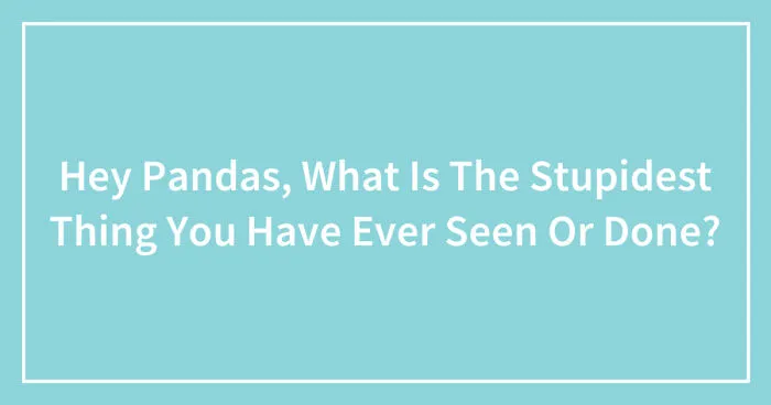 Hey Pandas, What Is The Stupidest Thing You Have Ever Seen Or Done? (Closed)