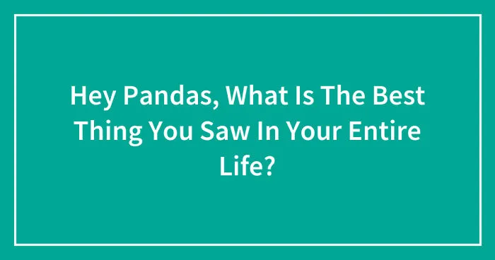 Hey Pandas, What Is The Best Thing You Saw In Your Entire Life? (Closed)