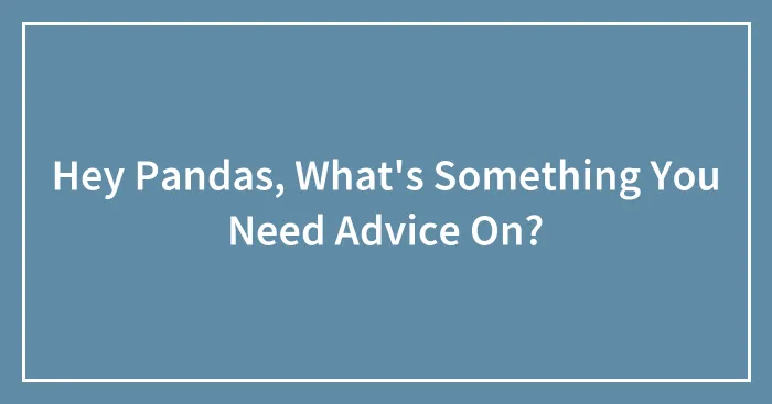 Hey Pandas, What's Something You Need Advice On? (Closed)