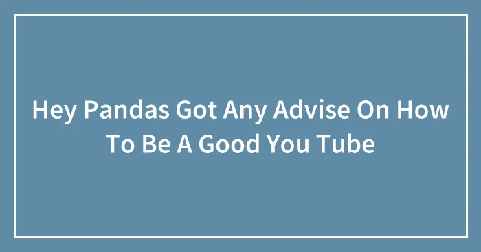 Hey Pandas Got Any Advise On How To Be A Good You Tube