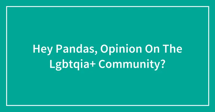 Hey Pandas, Opinion On The Lgbtqia+ Community?