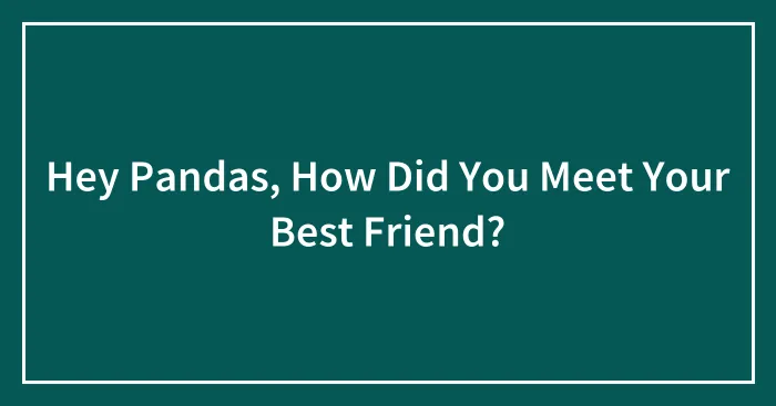 Hey Pandas, How Did You Meet Your Best Friend?