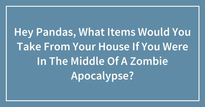 Hey Pandas, What Items Would You Take From Your House If You Were In The Middle Of A Zombie Apocalypse? (Closed)