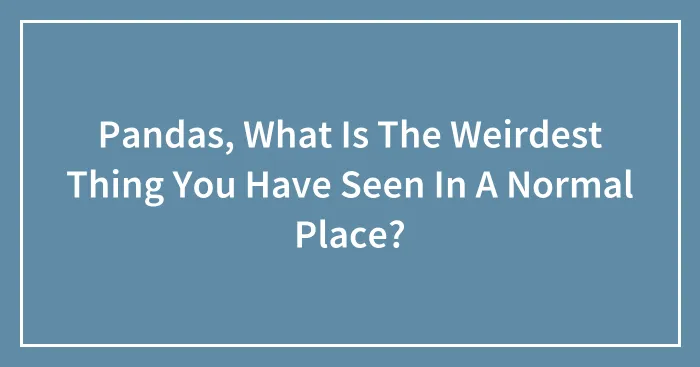 Pandas, What Is The Weirdest Thing You Have Seen In A Normal Place? (Closed)