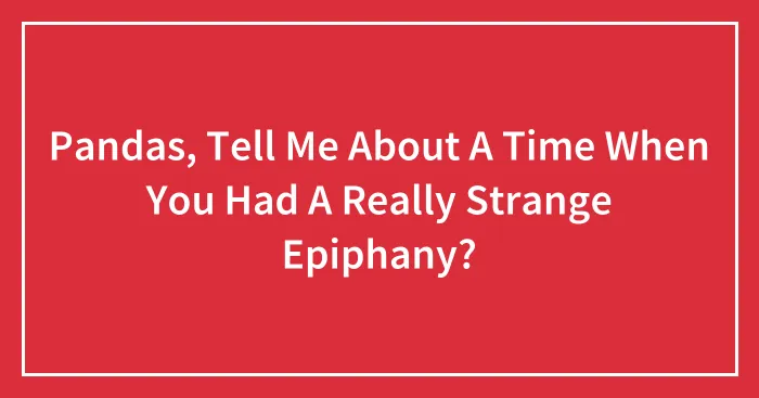 Pandas, Tell Me About A Time When You Had A Really Strange Epiphany? (Closed)